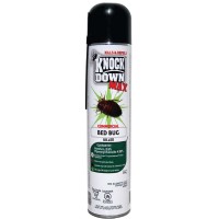 KD 242C - Insecticide anti-punaises 